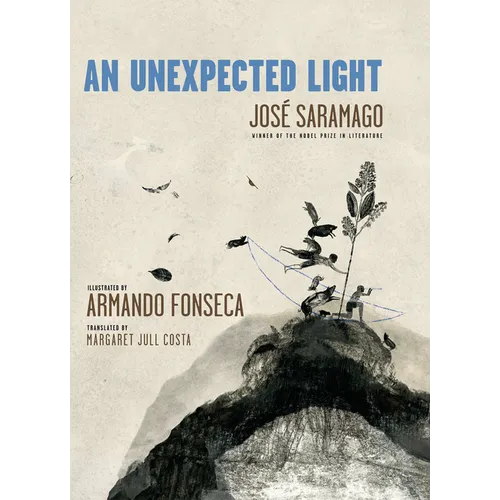 An Unexpected Light