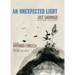 An Unexpected Light