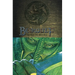 Beowulf: A Graphic Novel; Illustrated by Gareth Hinds