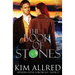 The Book of Stones: Time Travel Adventure Romance