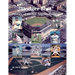"Dodger Blue" History of the Los Angeles Dodgers