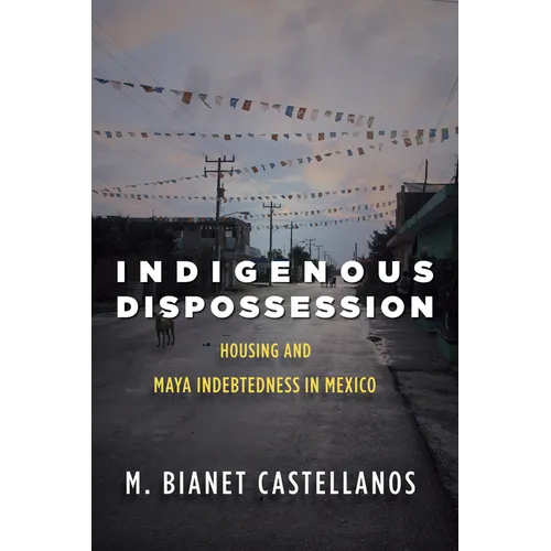 Indigenous Dispossession: Housing and Maya Indebtedness in Mexico