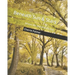 Beneath Sun & Stars: Where life and dreams live