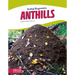 Anthills
