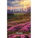Forgotten Flowers: Loving People You Know and You Don't Know