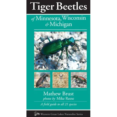 Tiger Beetles of Minnesota, Wisconsin & Michigan