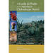 A Guide to Plants of the Northern Chihuahuan Desert