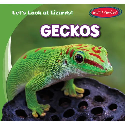 Geckos