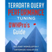 Teradata Query Performance Tuning: DWHPro's Guide