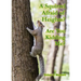 A Squirrel Afraid of Heights? Are You Kidding Me?