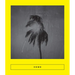 Home: New Arabic Poems
