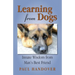 Learning from Dogs: Innate Wisdom from Man's Best Friend