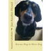 Just Another Hound: Rescue Dog to Hero Dog