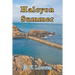 Halcyon Summer
