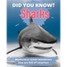 Did You Know? Sharks: Mysterious Ocean Wanderers That Are Full of Surprises