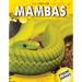 Mambas