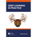 Deep Learning in Practice