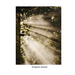Scripture Study Journal: For expanding understanding of Jesus Christ and His Gospel