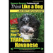 Havanese, Havanese Training AAA AKC Think Like a Dog, But Don't Eat Your Poop!: Here's EXACTLY How To TRAIN Your Havanese