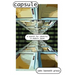 Capsule: A Search for Identity in Modern Japan