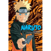 Naruto (3-In-1 Edition), Vol. 14: Includes Vols. 40, 41 & 42