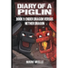 Diary of a Piglin Book 9: Ender Dragon Versus Nether Dragon