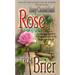Rose from Brier