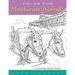 COLOR FUN - Mackinac Island! A coloring sketch book.: Color all of Mackinac Island's famous treasures, sights and unique things that it has to offer.