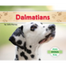 Dalmatians