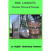 Fire Lookouts: Vandals, Thieves and Firebugs