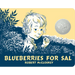 Blueberries for Sal