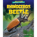 Rhinoceros Beetle