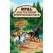 Opal and the Great Steeplechase Race