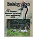 Raising Geese: A beginners handbook for raising happy and healthy GEESE