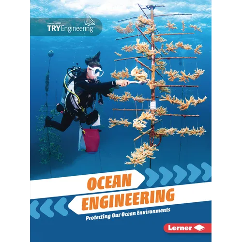 Ocean Engineering: Protecting Our Ocean Environments