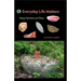 Everyday Life Matters: Maya Farmers at Chan