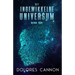 Het ingewikkelde universum