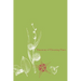 Taxonomy of Flowering Plants