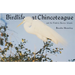 Birdlife at Chincoteague and the Virginia Barrier Islands