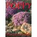 Poppy