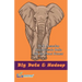 Bigdata & Hadoop