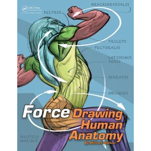 Force: Drawing Human Anatomy