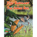 The Elephant and the Jungle Bug