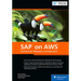 SAP on AWS: Architecture, Migration, and Operation