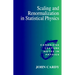 Scaling and Renormalization in Statistical Physics