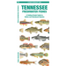 Tennessee Freshwater Fishes