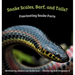 Snake Scales, Barf, and Tails? Fascinating Snake Facts