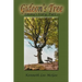 Gideon's Tree: Emmy's Story, Part 15