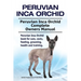 Peruvian Inca Orchid. Peruvian Inca Orchid Complete Owners Manual. Peruvian Inca Orchid book for care, costs, feeding, grooming, health and training.