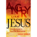 Angry Like Jesus: Using His Example to Spark Your Moral Courage